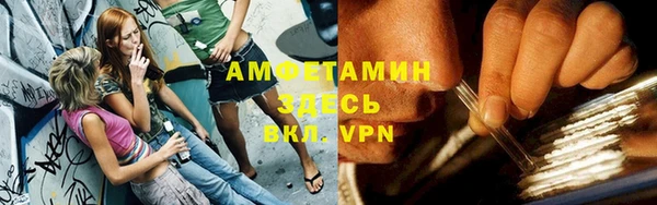 дмт Алексин