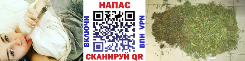 цена наркотик  Гдов  Каннабис MAZAR 